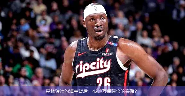 森林狼續(xù)約海蘭背后：42.5萬保障金的豪賭？