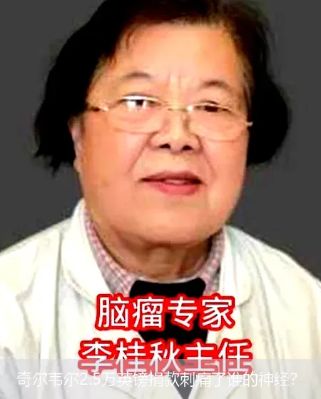 奇尔韦尔2.5万英镑捐款刺痛了谁的神经?