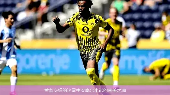 黄蓝交织的迷雾中安塞尔米诺的南美之魂