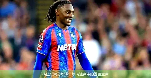 格拉斯纳与埃泽:玻璃迷宫中的困兽宣言