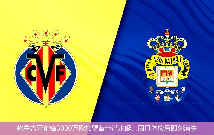 格鲁吉亚前锋3000万欧加盟黄色潜水艇,周日体检后即刻消失