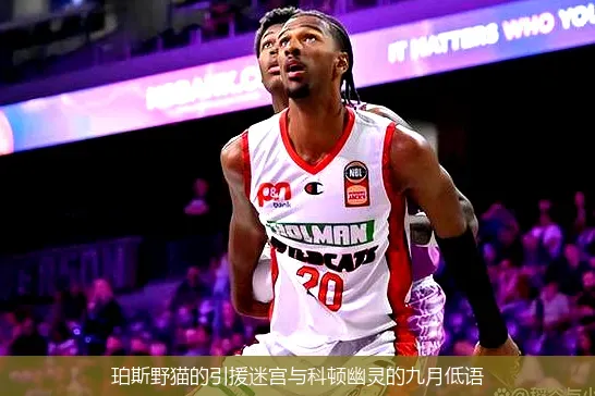 珀斯野猫的引援迷宫与科顿幽灵的九月低语